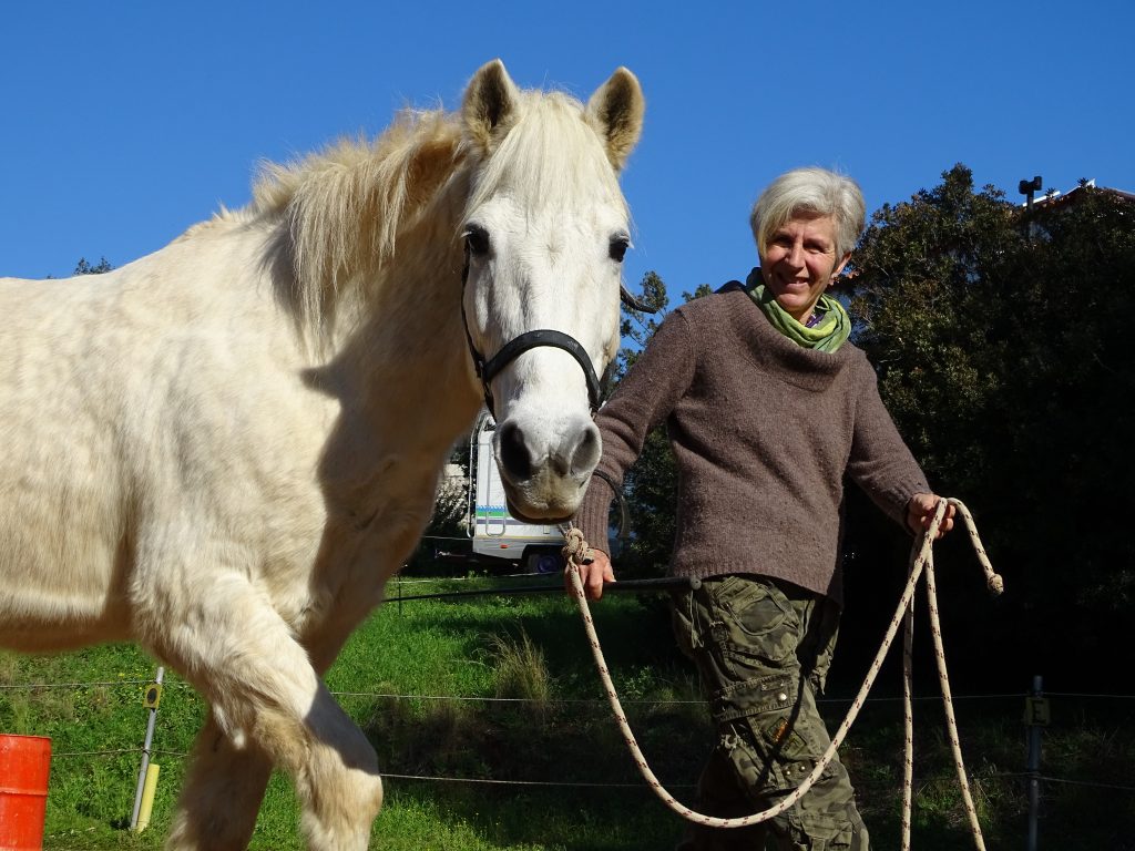 Feeling a connection  and relationship with horses