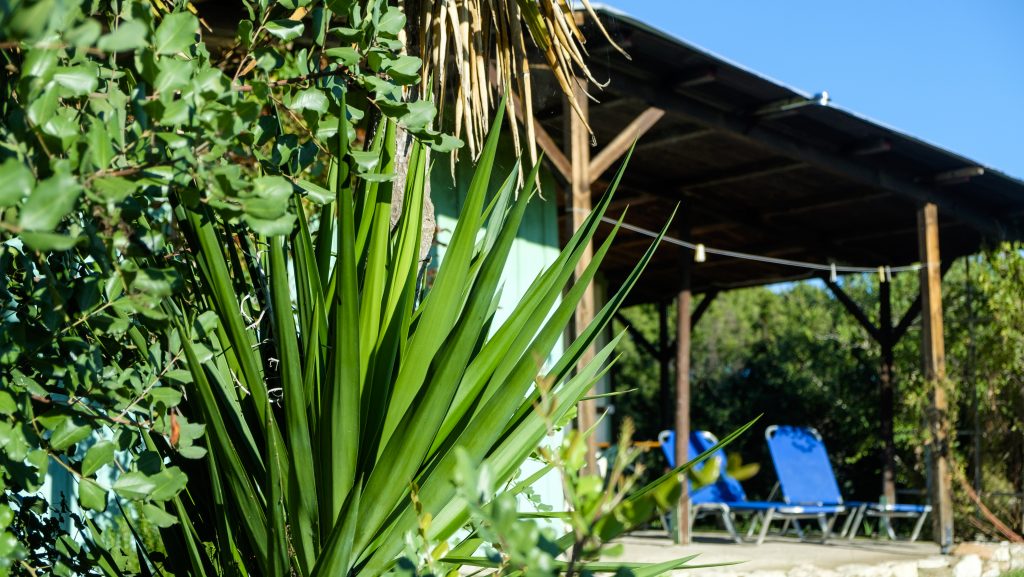 Urlaub bei uns - unseren gemütlichen Ferienbungalow mieten