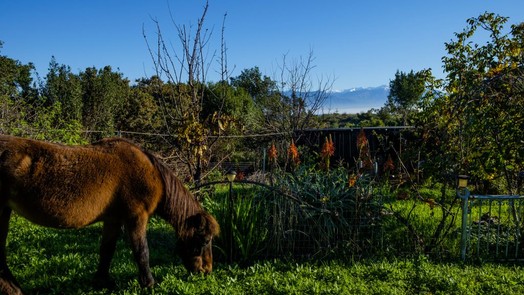 Stay at the farm - view from our comfortable holiday bungalow